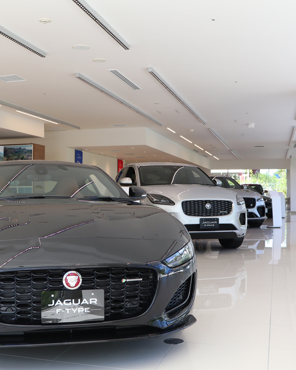 SHOWROOM